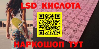 шишки Бузулук