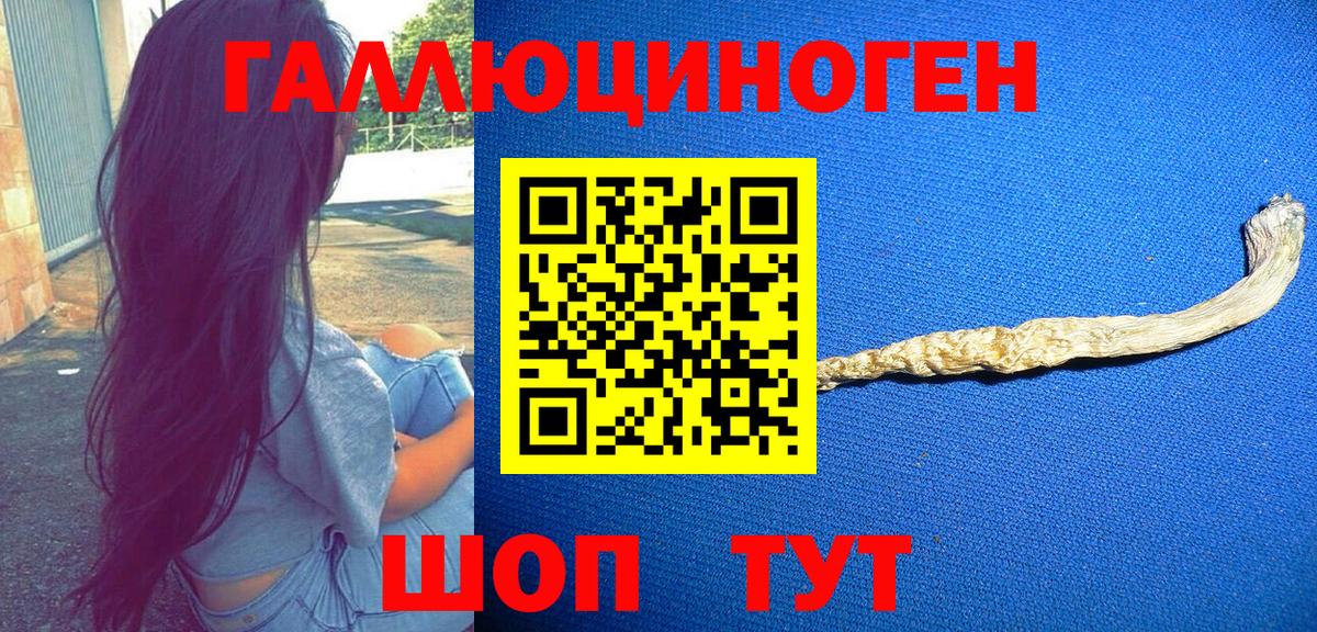 Галлюциногенные грибы GOLDEN TEACHER  Вход с VPN  закладка  Славянск-на-Кубани 