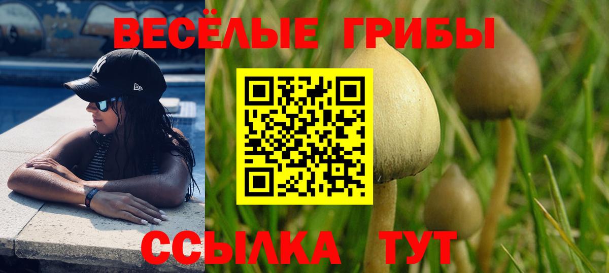 Галлюциногенные грибы Cubensis Славянск-на-Кубани
